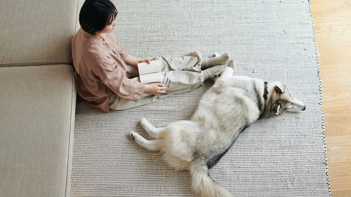 ソファの横でハスキー犬と座っている女性
