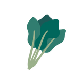 ほうれん草