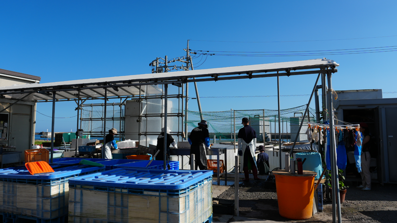 鳥取で出会った、未来につながるサーモン養殖